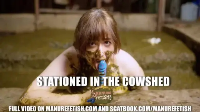 Stationed In The Cowshed